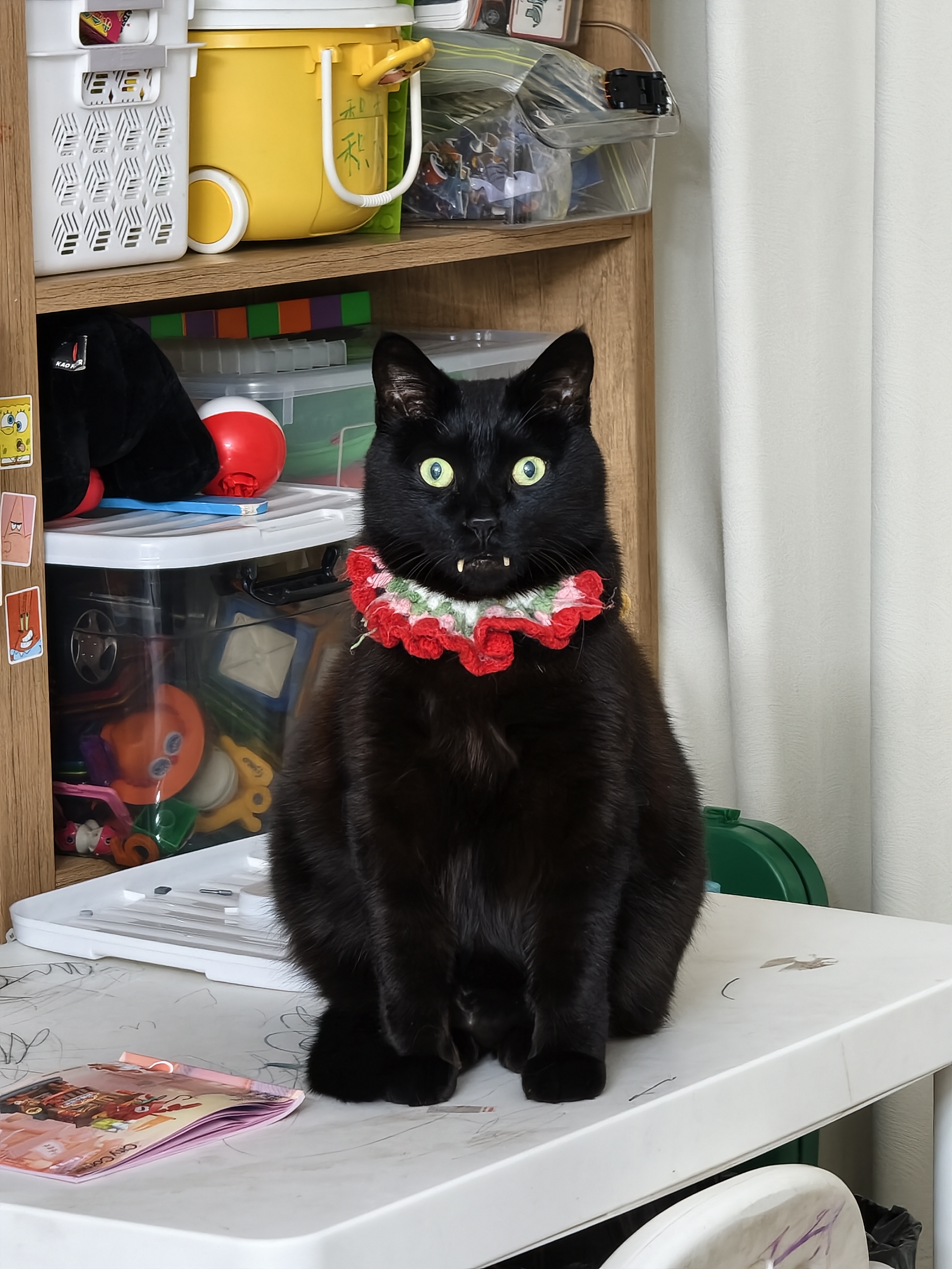 猫 2